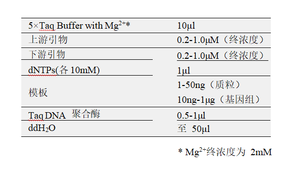 常用反應體系（50μl）