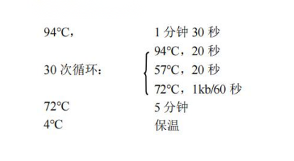 常用PCR 循環(huán)