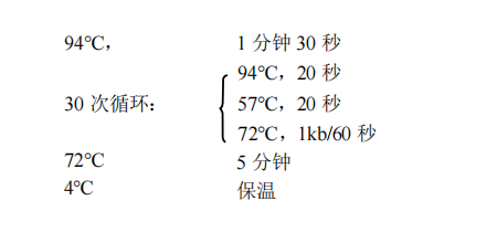 1st Strand cDNA Synthesis Kit(gDNA Purge)常用PCR 循環(huán)