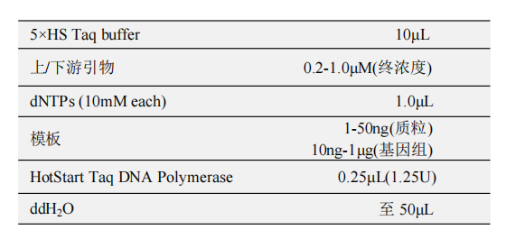 HotStart Taq DNA Polymerase(B) 常用反應(yīng)體系（50μL）：