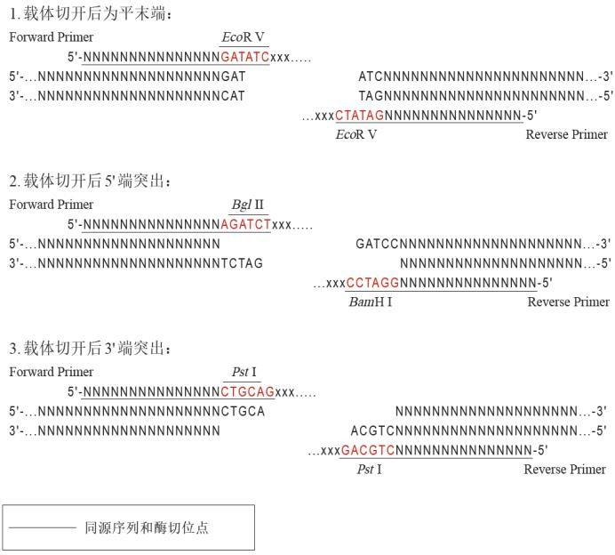 引物設計