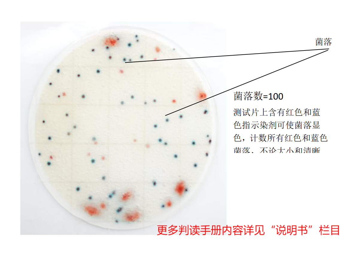 快速菌落總數(shù)測試片判讀手冊