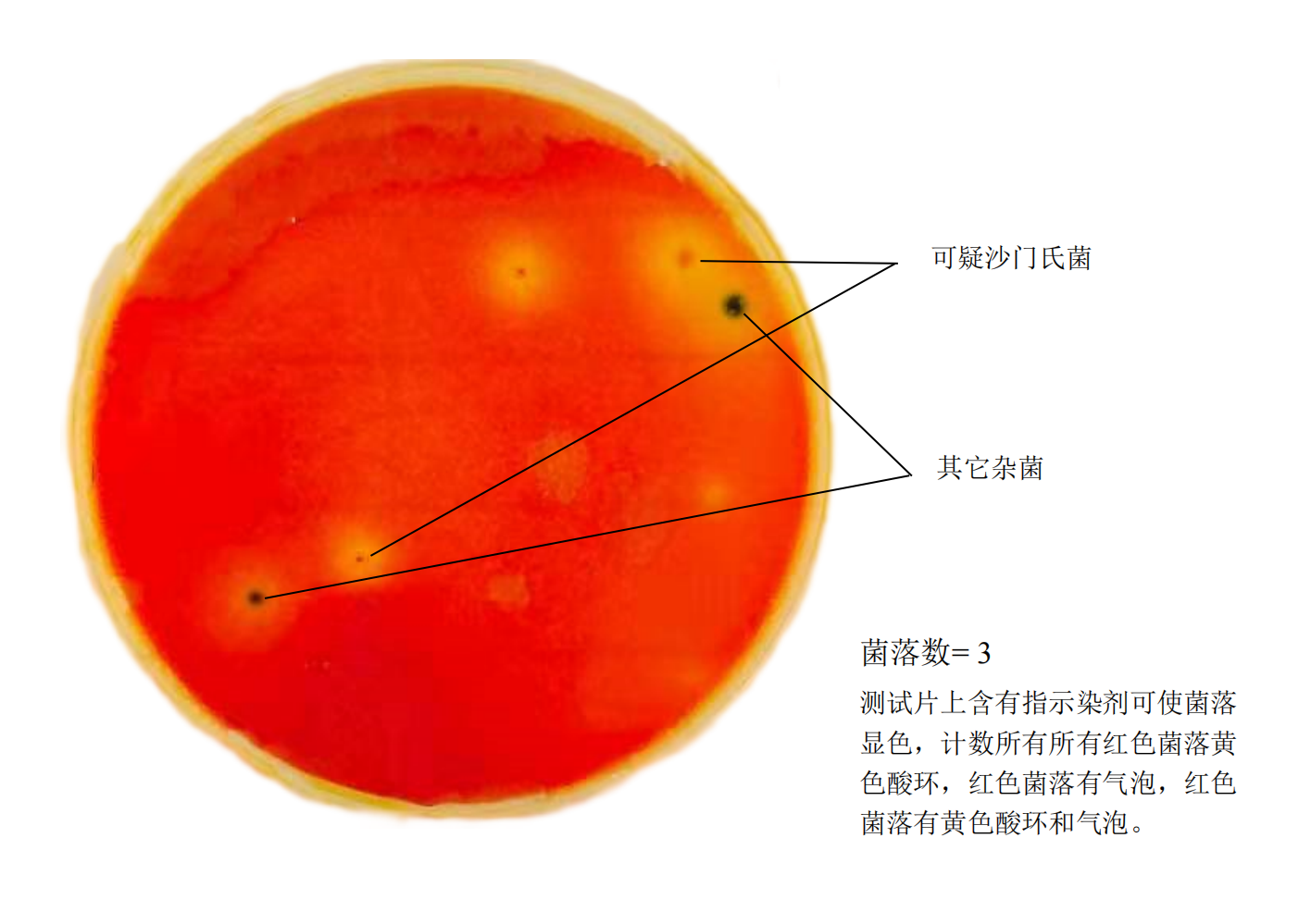 沙門(mén)氏菌測(cè)試片判讀手冊(cè)