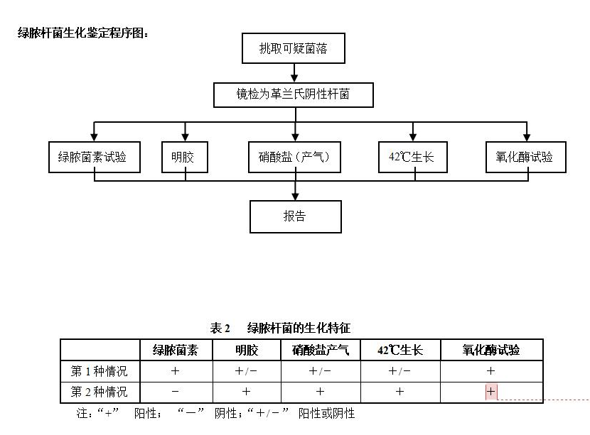 綠膿桿菌生化鑒定程序圖