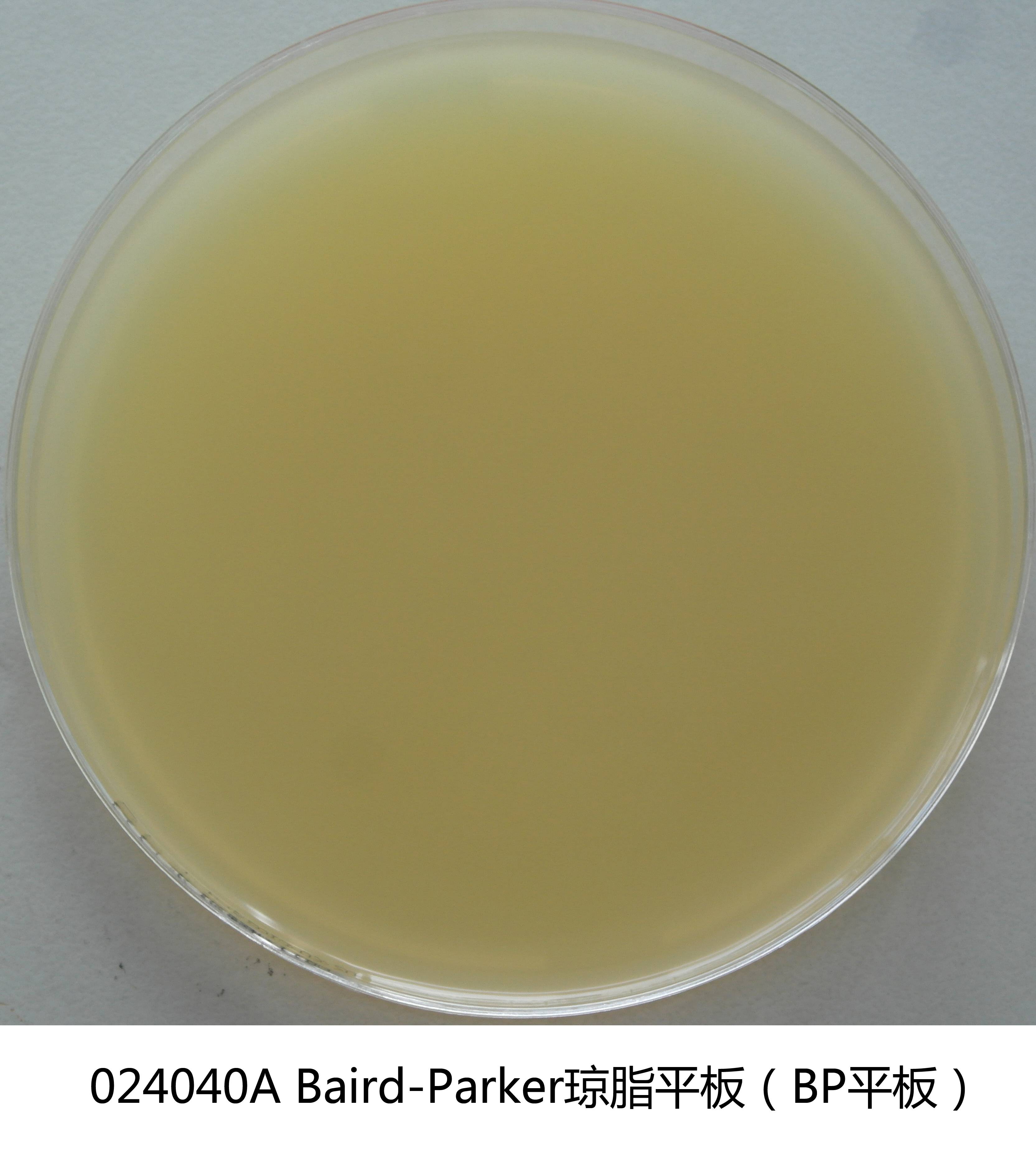 Baird-Parker瓊脂平板