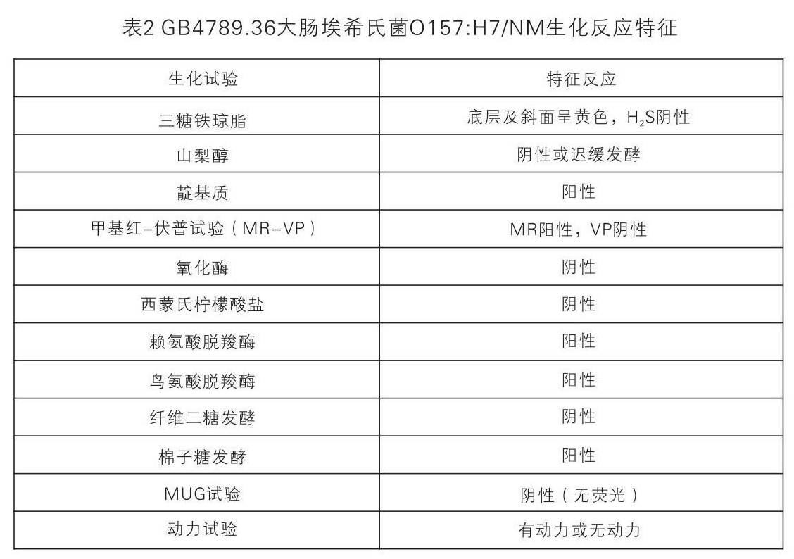 表2 GB4789.36大腸埃希氏菌O157:H7/NM生化反應(yīng)特征