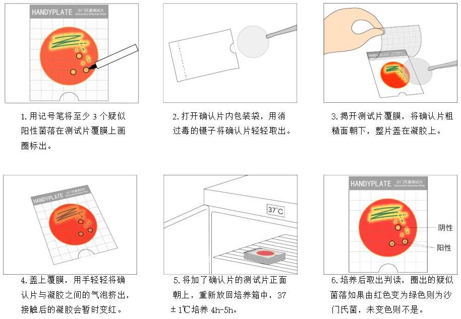 HandyPlate®沙門氏菌確認(rèn)反應(yīng)片操作步驟