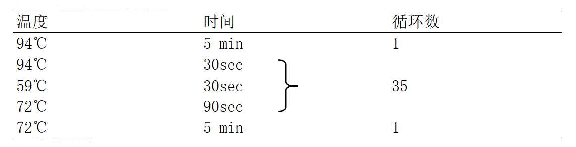 EAEC多重PCR檢測試劑盒PCR判讀程序