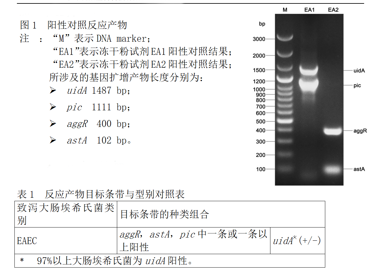 EAEC多重PCR檢測試劑盒判讀結(jié)果